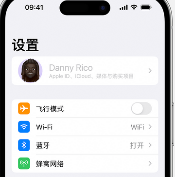 加查appleID维修服务iPhone设置中Apple ID显示为灰色无法使用 