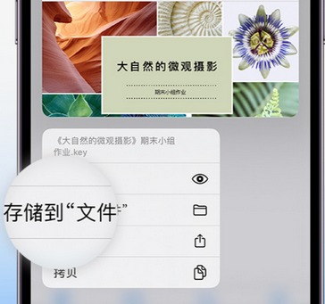 加查apple维修中心分享iPhone文件应用中存储和找到下载文件