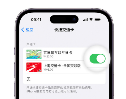 加查apple维修点分享iPhone上更换Apple Pay快捷交通卡手绘卡面 