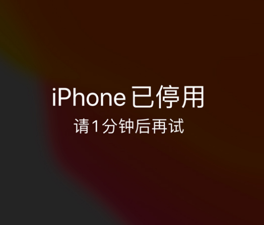 加查苹果手机维修分享:iPhone 显示“不可用”或“已停用”怎么办？还能保留数据吗？ 