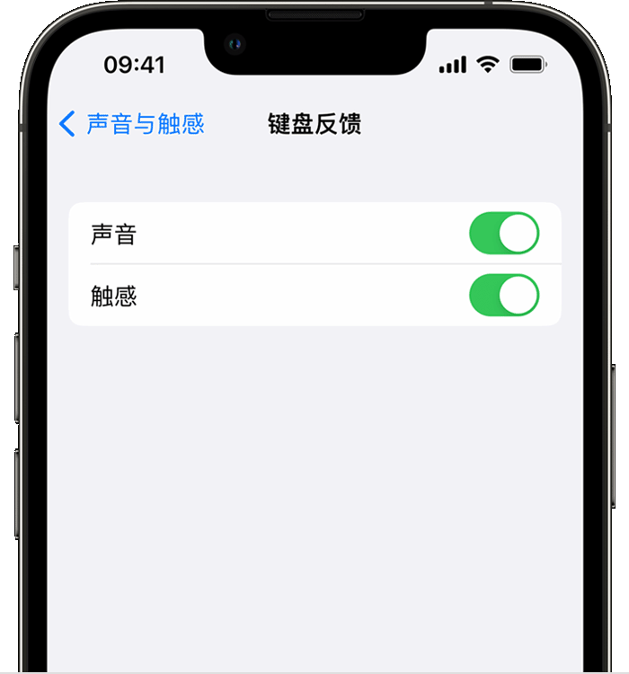 加查苹果14维修店分享如何在 iPhone 14 机型中使用触感键盘 