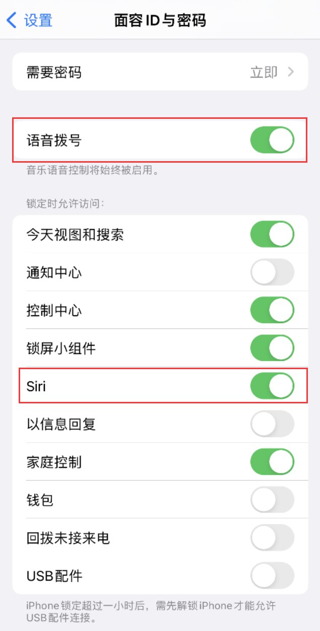 加查苹果维修网点分享不解锁 iPhone 的情况下通过 Siri 拨打电话的方法 