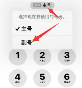 加查苹果14维修店分享iPhone 14 Pro Max使用副卡打电话的方法 