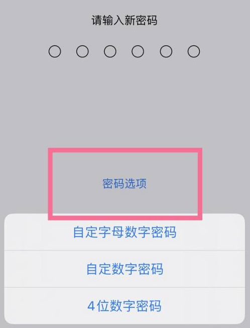 加查苹果14维修分享iPhone 14plus设置密码的方法 