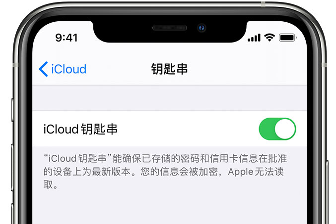 加查苹果手机维修分享在 iPhone 上开启 iCloud 钥匙串之后会储存哪些信息 